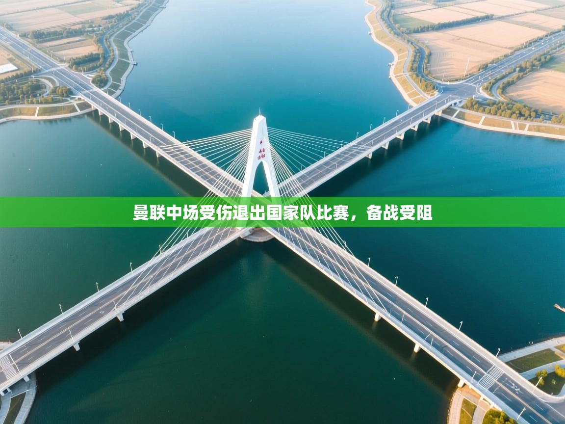 曼联中场受伤退出国家队比赛，备战受阻