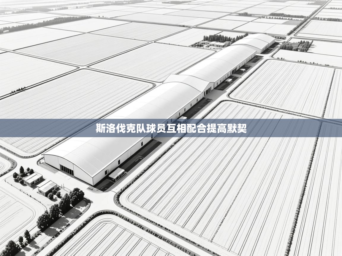 斯洛伐克队球员互相配合提高默契 第1张