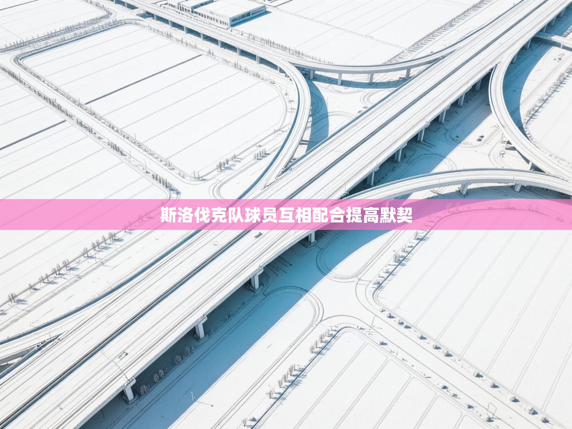 斯洛伐克队球员互相配合提高默契 第2张