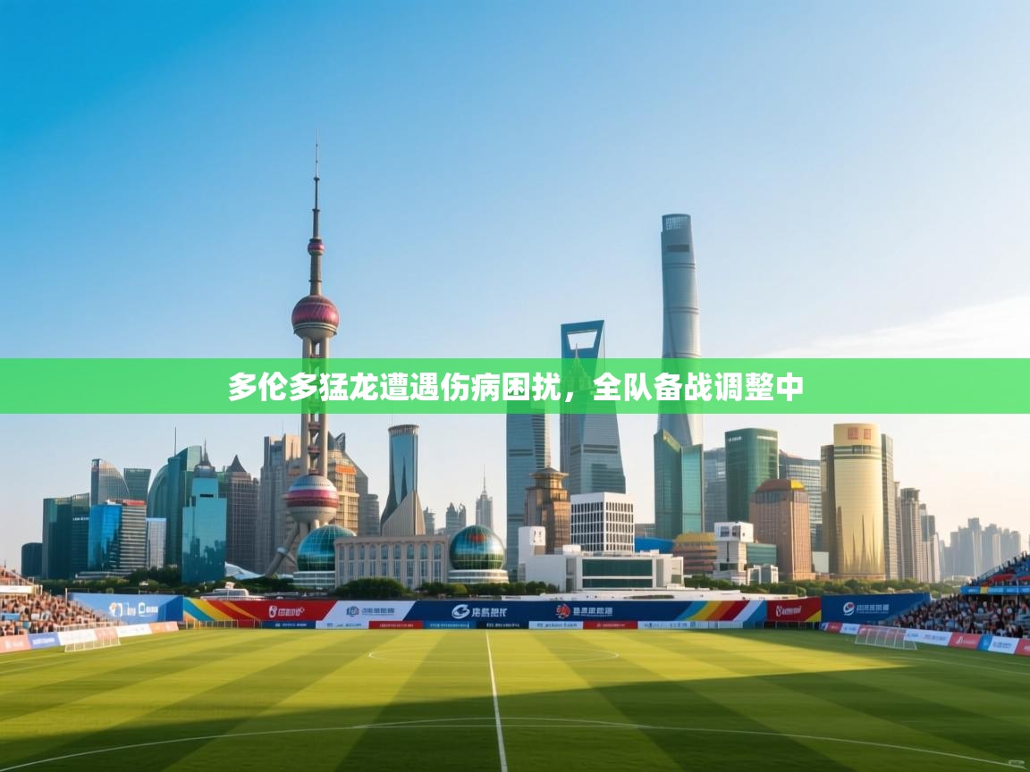 多伦多猛龙遭遇伤病困扰，全队备战调整中