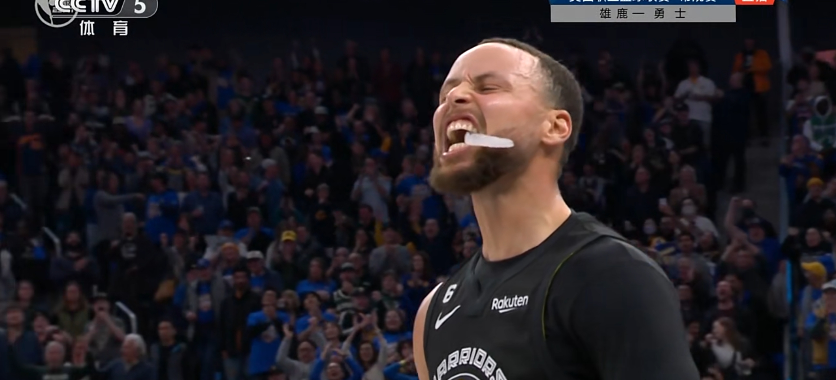 前锋伤愈复出，汉诺威期待他的发挥的简单介绍