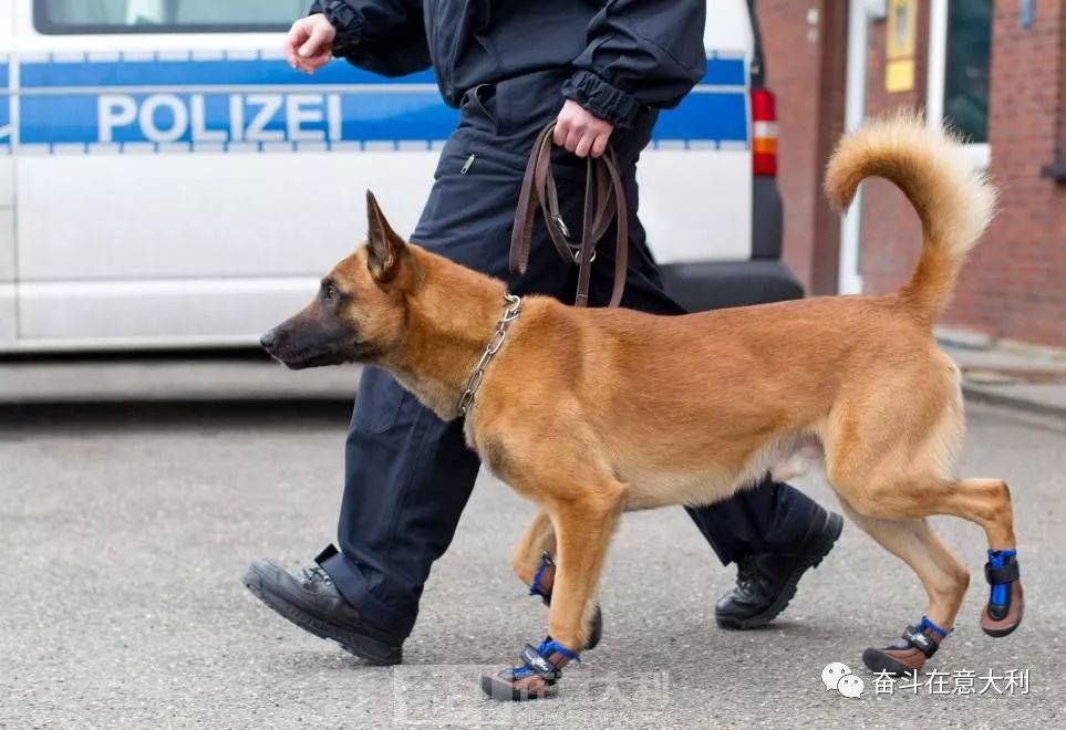 瑞士射箭选手破天荒夺冠，震撼赛场